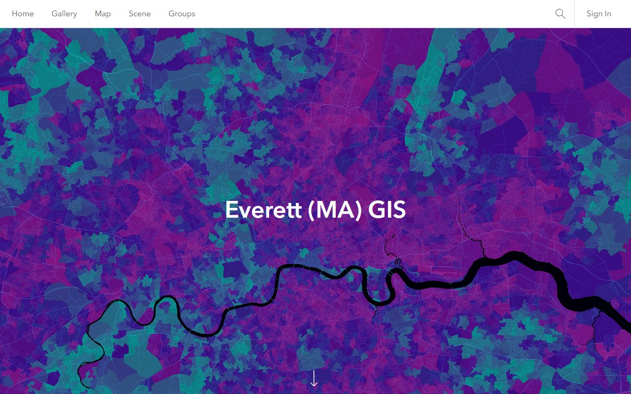 Everett property tax records GIS map viewer